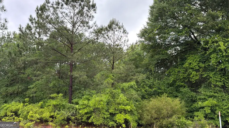 0 J W Miller Road, Reynolds, GA 31076 - #3