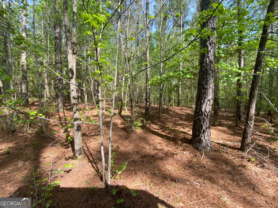 3 Curry Falls Trail, Athens, GA 30607 - #2