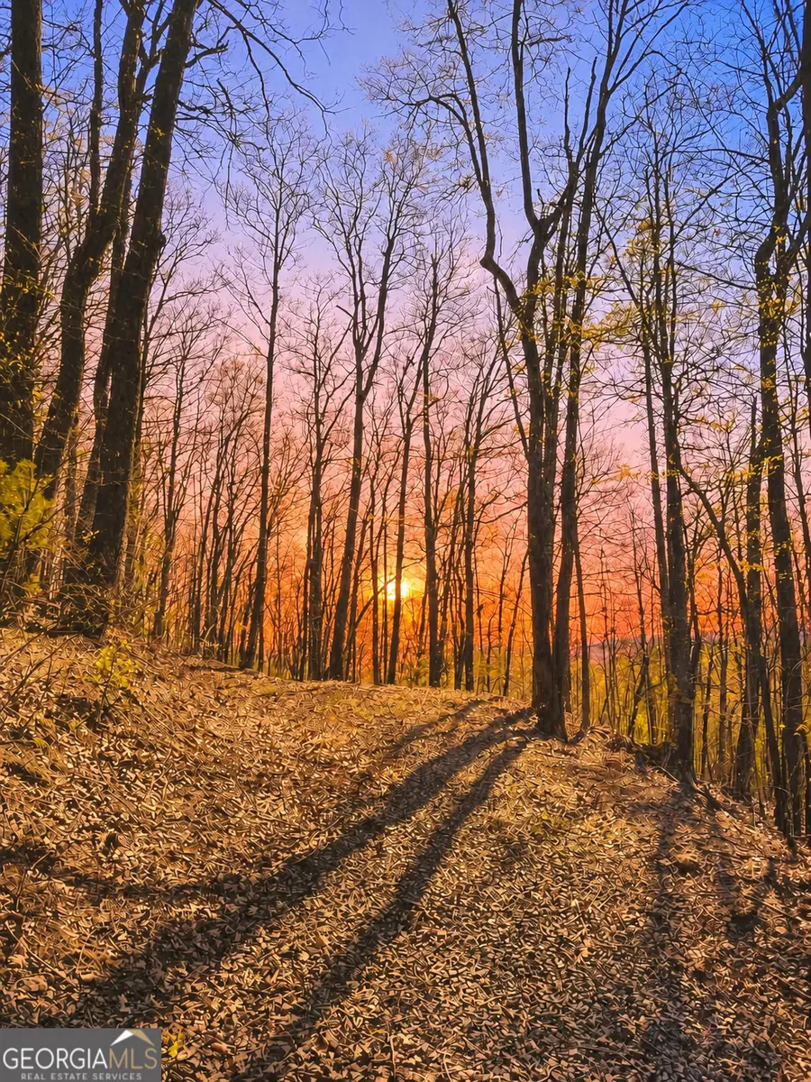 29 AC Hidden Valley Drive #00, Ellijay, GA 30536 - #3