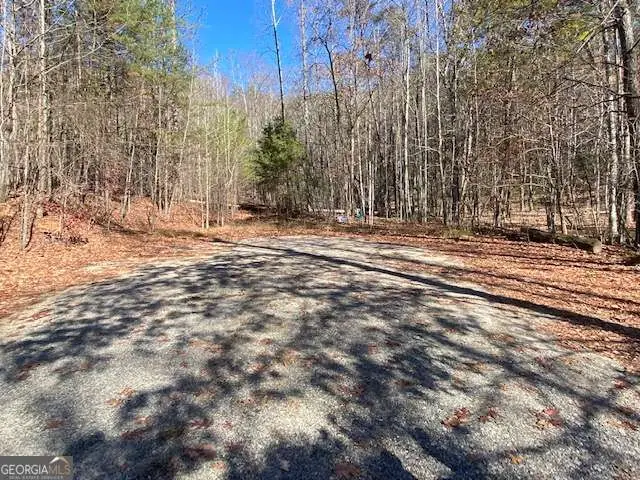 8 Cameron Point, Cleveland, GA 30528 - #1