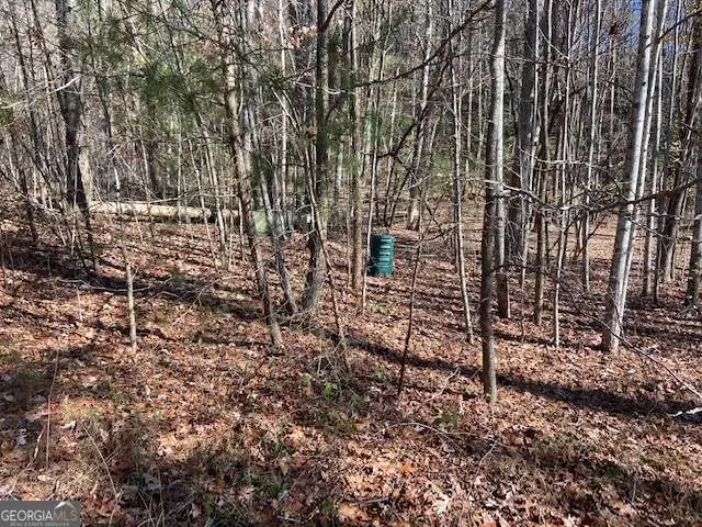8 Cameron Point, Cleveland, GA 30528 - #3