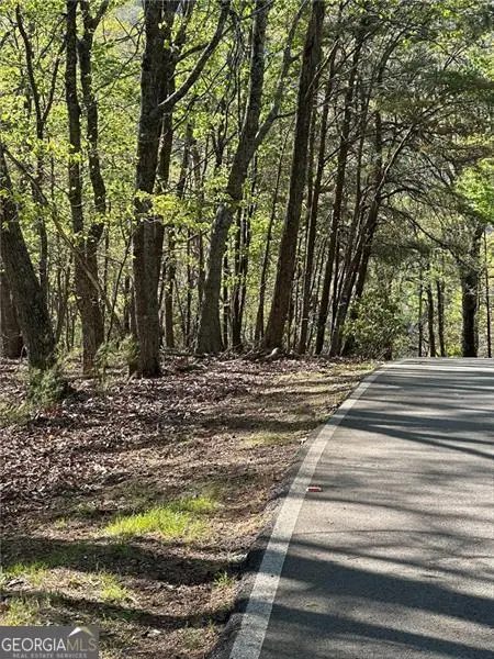 141 Wood Fern Knoll #2049, Big Canoe, GA 30143 - #3