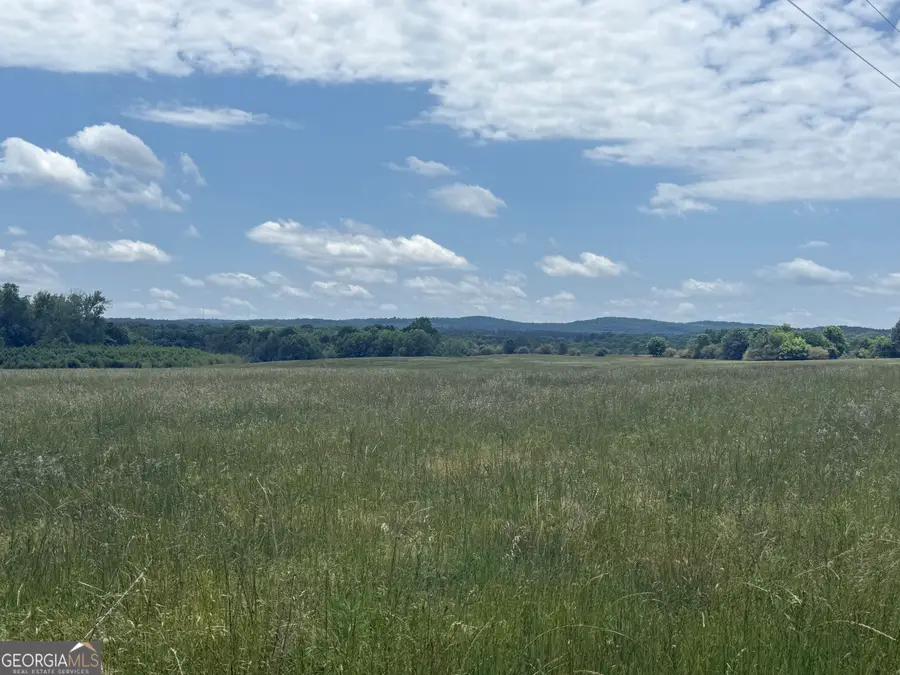 35 AC Hwy 109, Zebulon, GA 30295 - #2