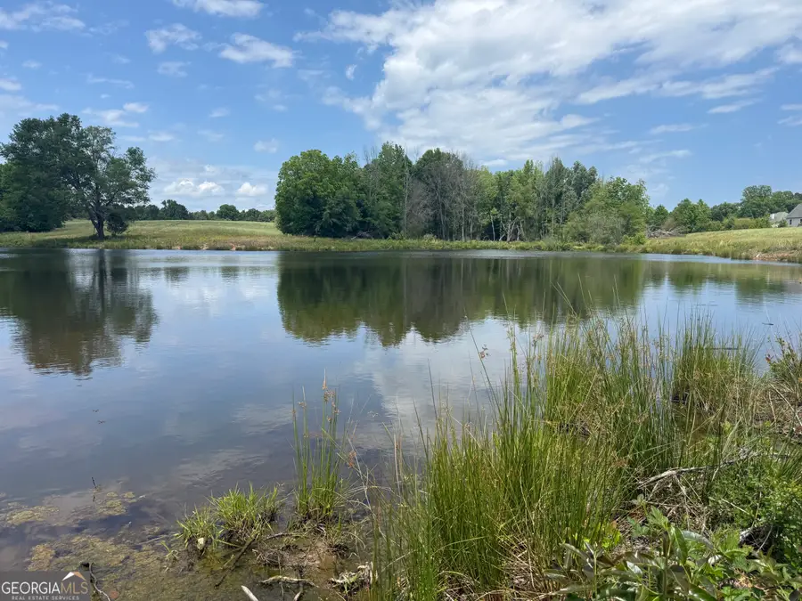 35 AC Hwy 109, Zebulon, GA 30295 - #3
