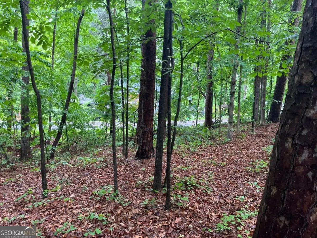 0 Lake Club Drive, Lavonia, GA 30553 - #1