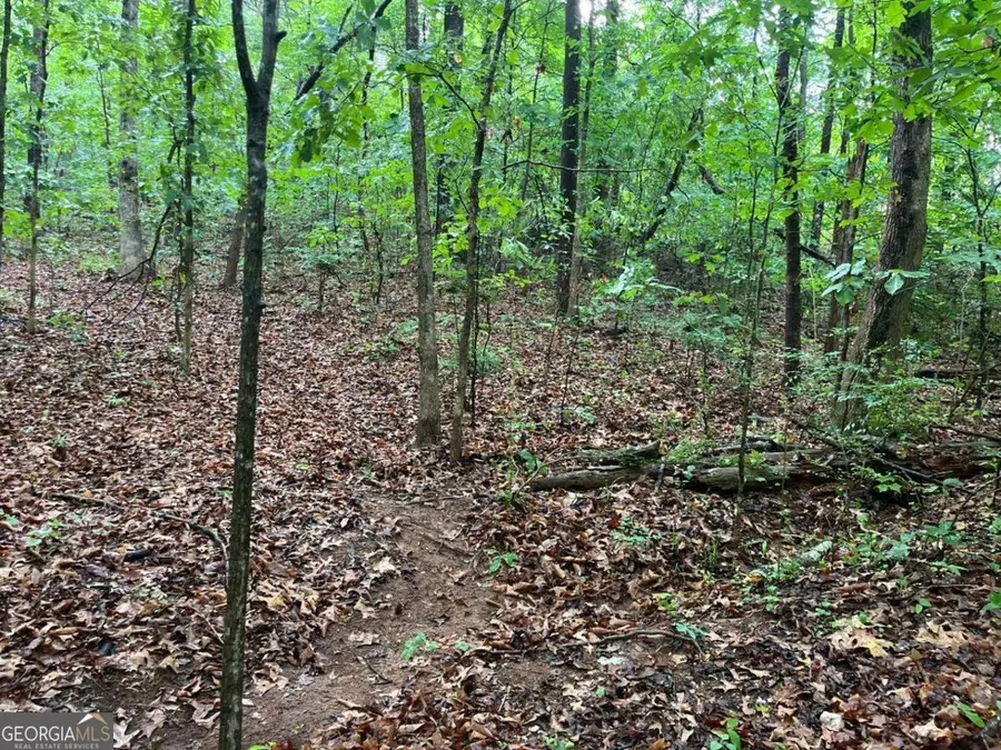 0 Lake Club Drive, Lavonia, GA 30553 - #2