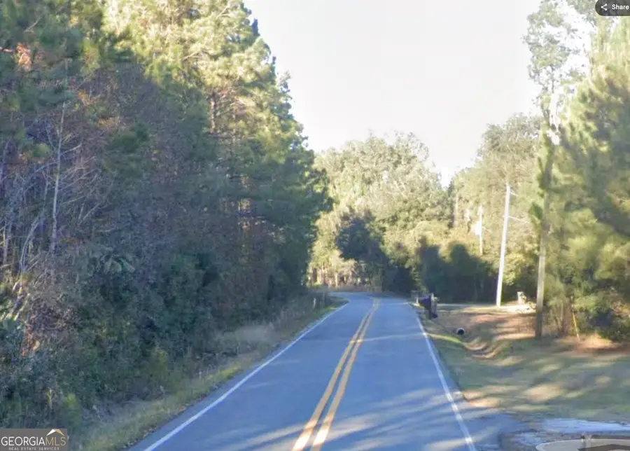 1.52 ACRES Mt Pleasant Road, Clyo, GA 31303 - #3