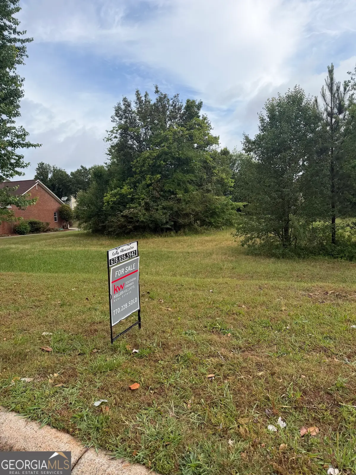 1102 Cameron Road, McDonough, GA 30253 - #1