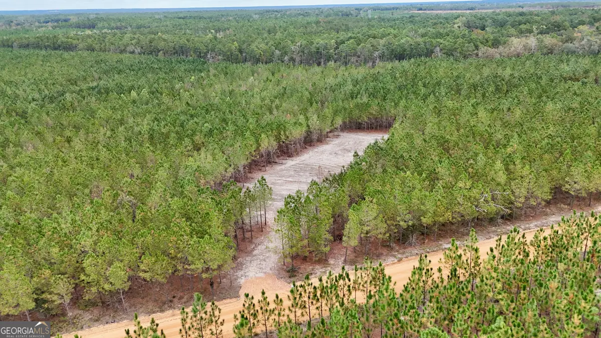 TRACT 7 AND 8 Penny Morris Road, Baxley, GA 31513 - #1