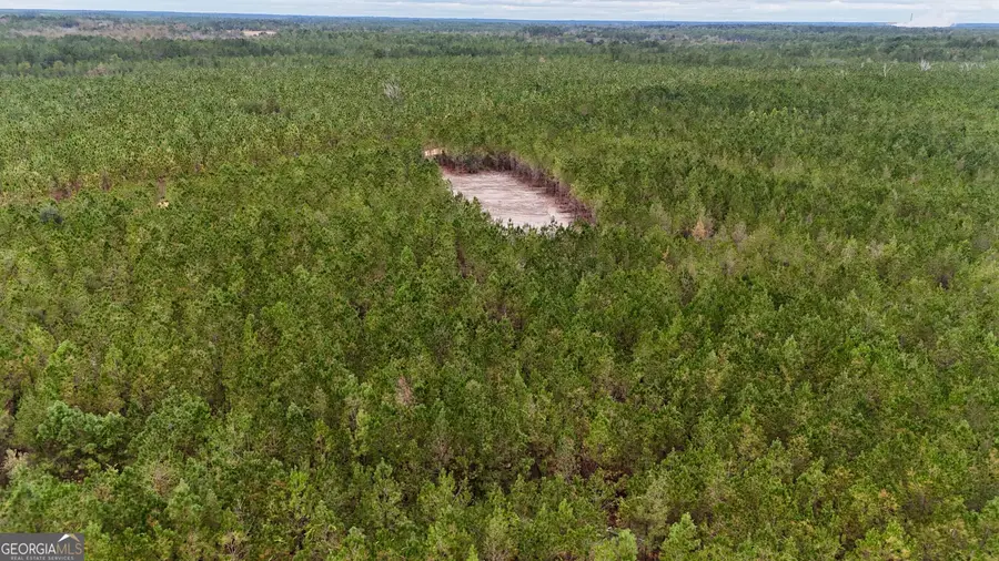 TRACT 7 AND 8 Penny Morris Road, Baxley, GA 31513 - #2