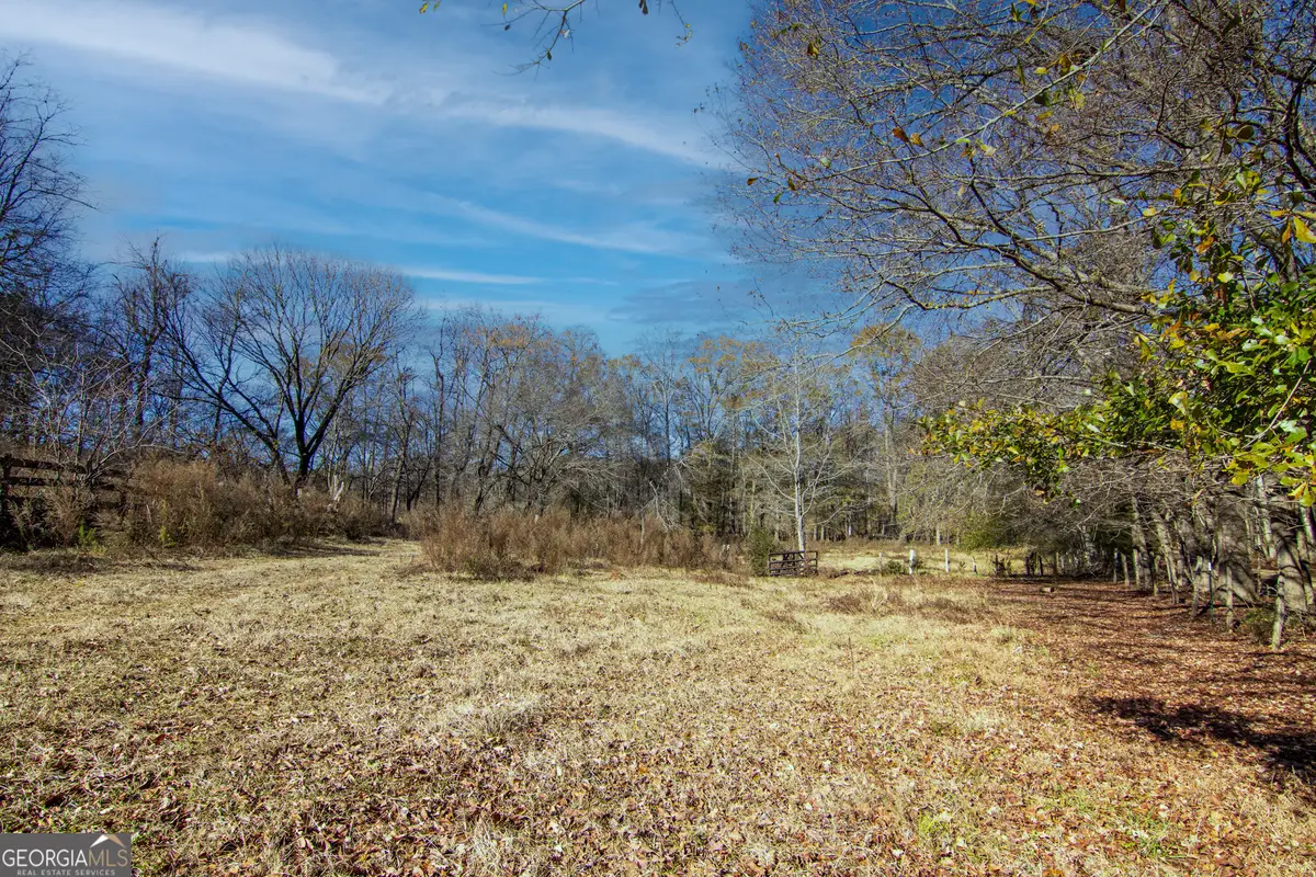 TRACT 2 - 0 St. Paul Church Road, Shiloh, GA 31826 - #1