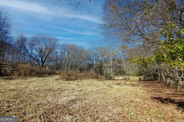 TRACT 2 - 0 St. Paul Church Road, Shiloh, GA 31826