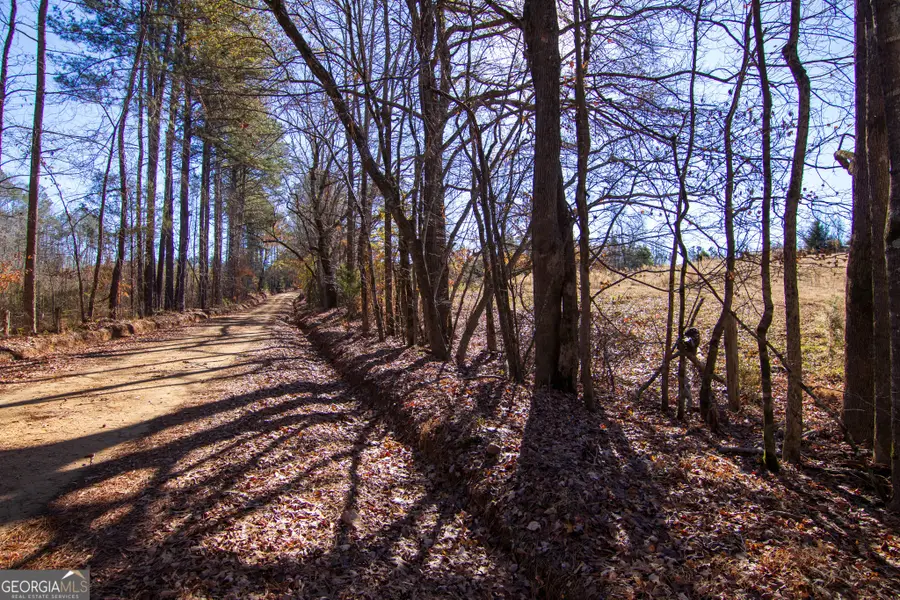TRACT 2 - 0 St. Paul Church Road, Shiloh, GA 31826 - #2