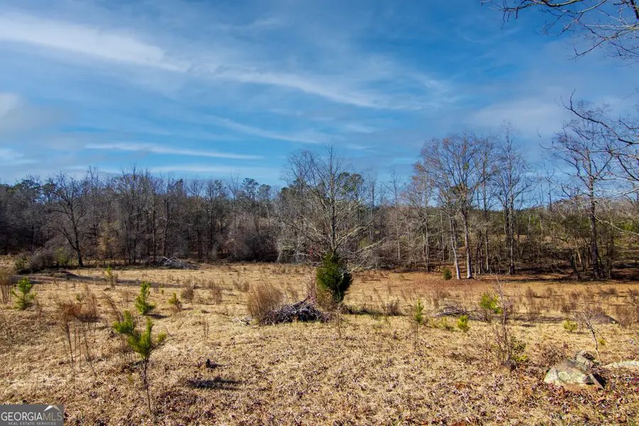 TRACT 2 - 0 St. Paul Church Road, Shiloh, GA 31826 - #3