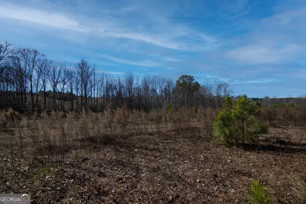 TRACT 6 - 0 Chestnut Grove Road, Shiloh, GA 31826