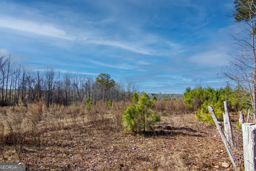 TRACT 6 - 0 Chestnut Grove Road, Shiloh, GA 31826 - #2