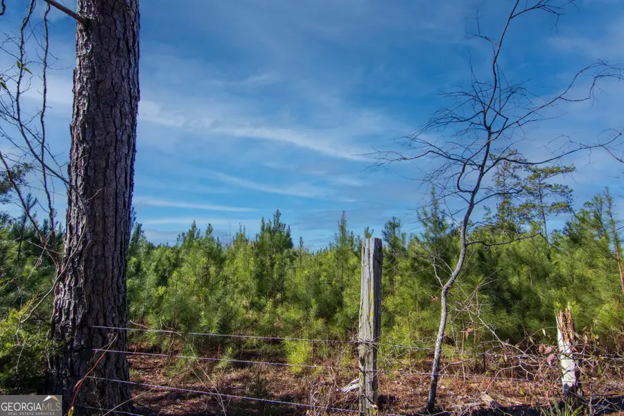 TRACT 6 - 0 Chestnut Grove Road, Shiloh, GA 31826 - #3
