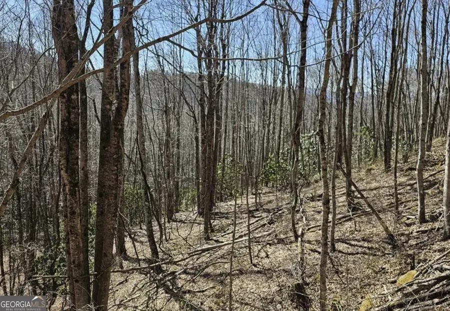 0 Highland Gap Road, Scaly Mountain, NC 28775 - #3