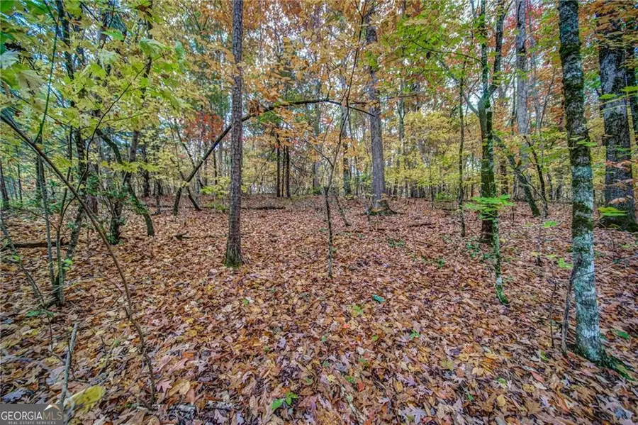 543 Cove Lake Drive #19, Marble Hill, GA 30148 - #2