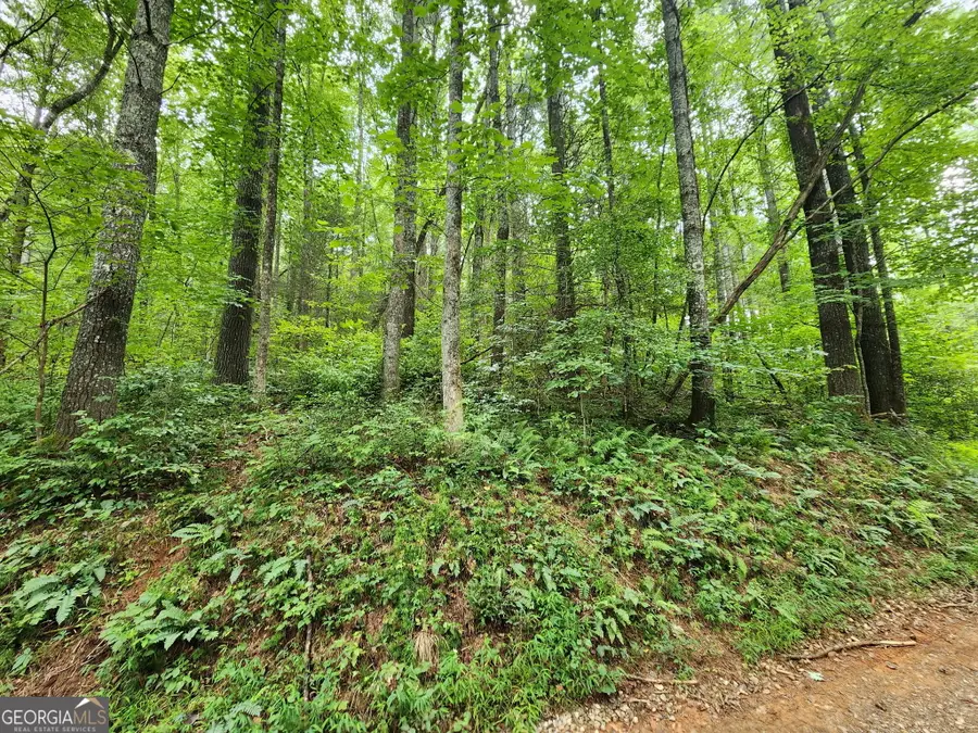 TRACT 2B Poplar Cove Trail, Suches, GA 30572 - #3