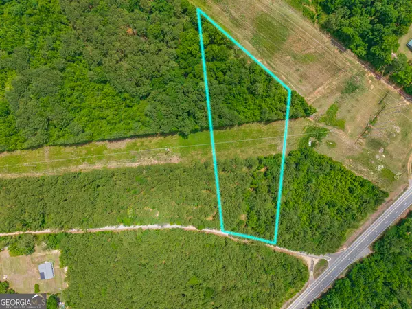 0 Old Haul Road, Dry Branch, GA 31020