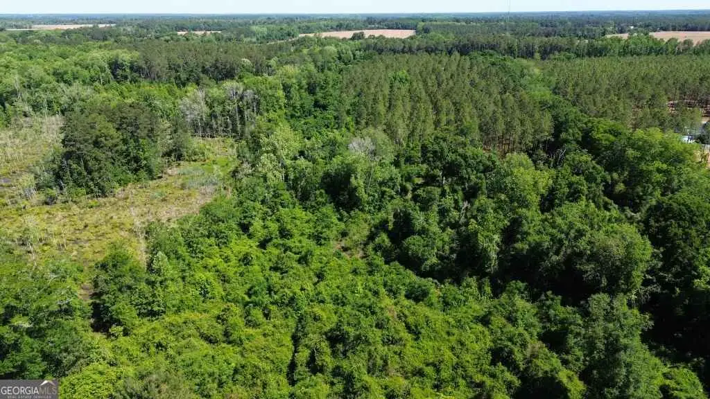0 Reedy Branch Road, Statesboro, GA 30458 - #1
