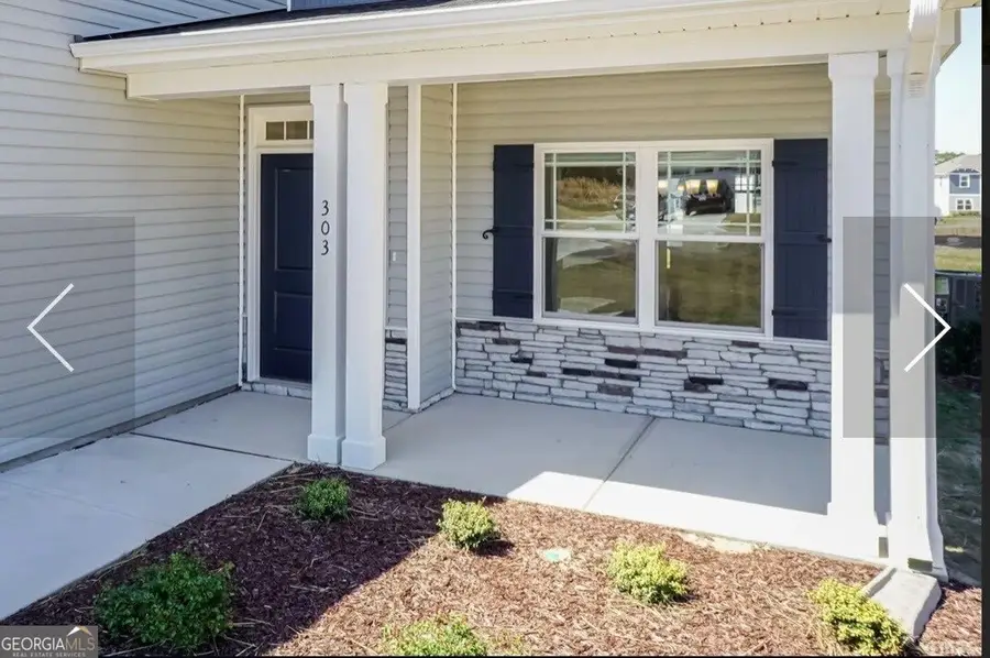 181 Blackberry Court, Pendergrass, GA 30567 - #3
