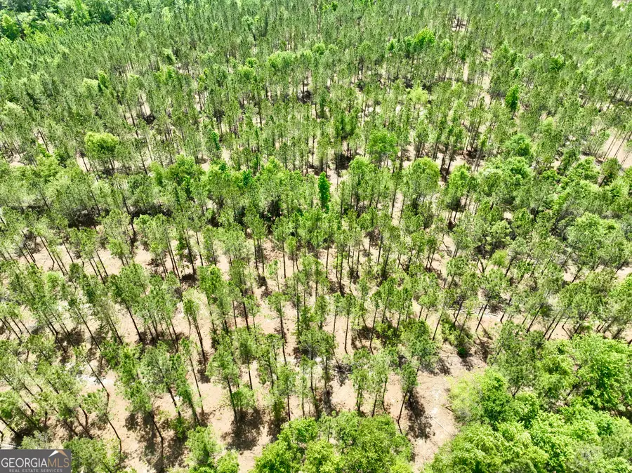 0 Jerry Farmer Road, Eastman, GA 31023 - #2