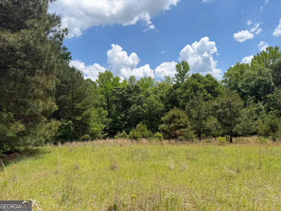 06 Long Branch Road, Toomsboro, GA 31090 - #3