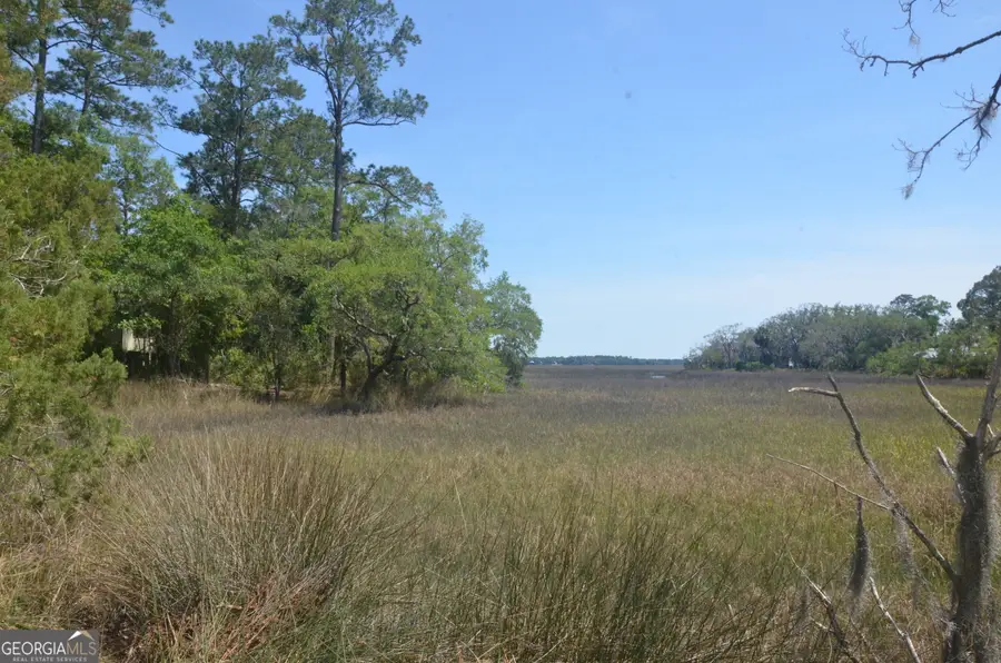 569 Crooked River Drive, Woodbine, GA 31569 - #3
