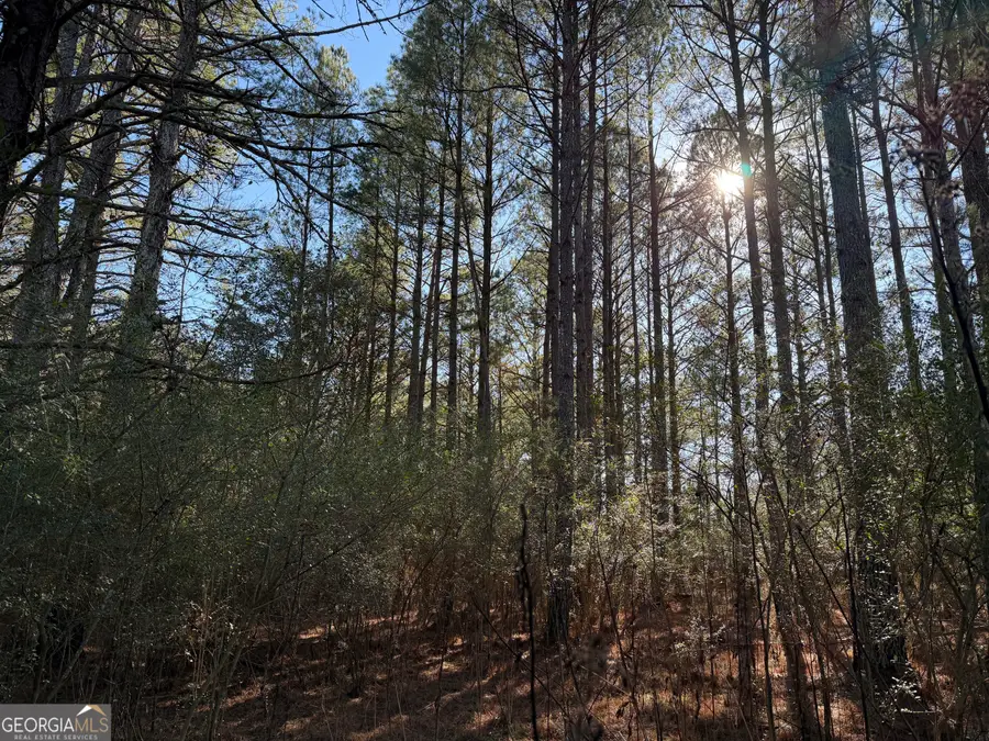 0 Liberty Church Road, Ranger, GA 30734 - #2