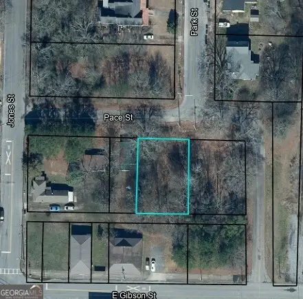 0 Pace Street, Cedartown, GA 30125