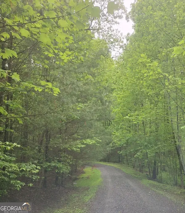 LOT 14 Noontootla Ridge Court, Blue Ridge, GA 30513