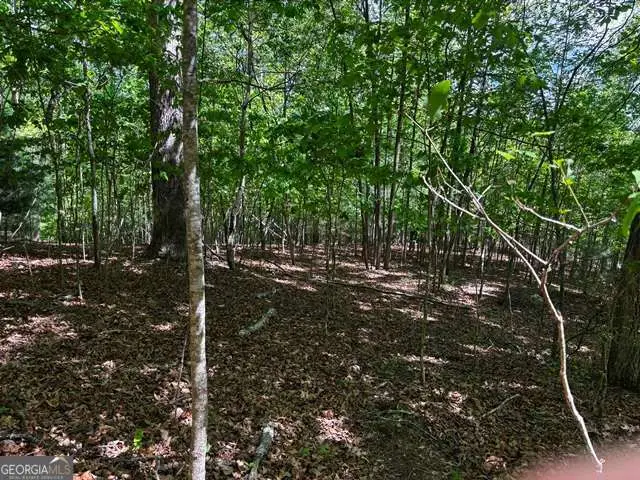 LOT 43 Edgewood Trail, Blairsville, GA 30512 - #1
