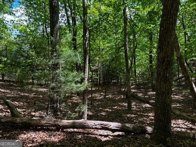 LOT 43 Edgewood Trail, Blairsville, GA 30512 - #2