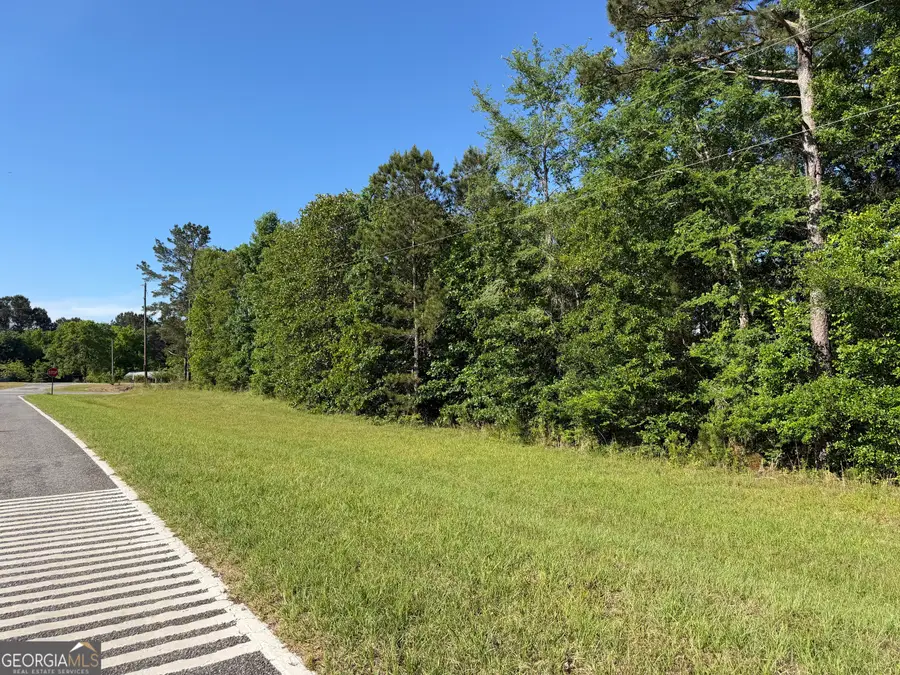 1.2 ACRES Beasley Road, Roberta, GA 31078 - #2