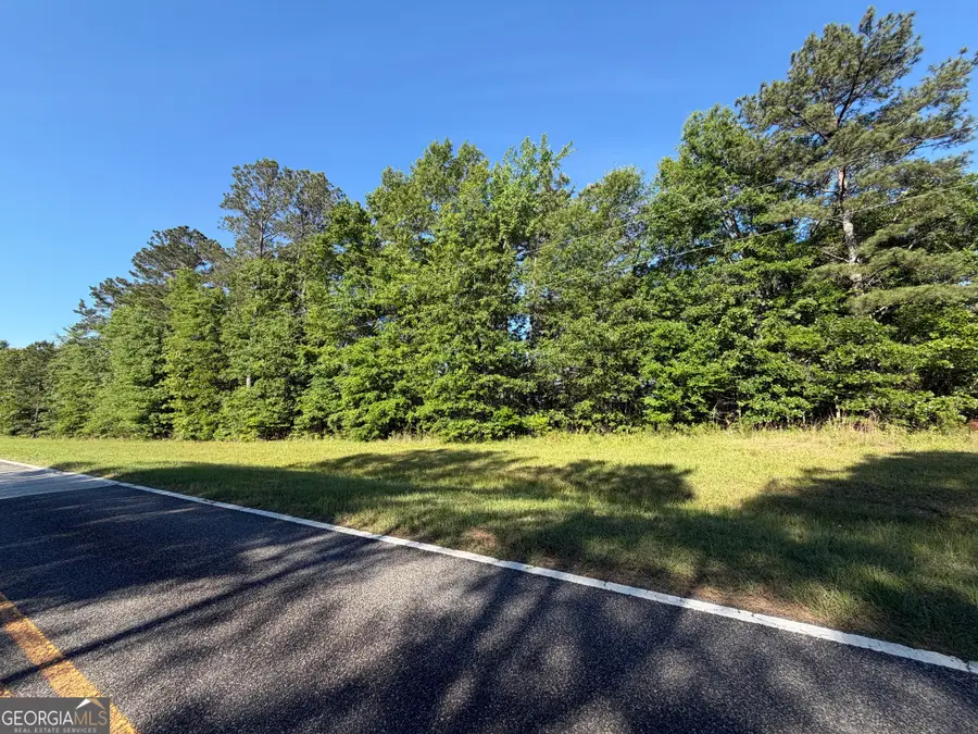 1.2 ACRES Beasley Road, Roberta, GA 31078 - #3