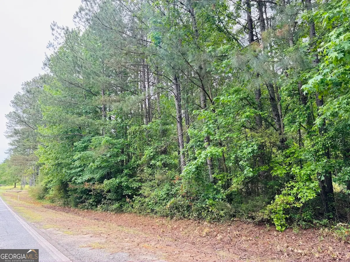 0 Lee Lane #LOT 1, Greenville, GA 30222 - #1