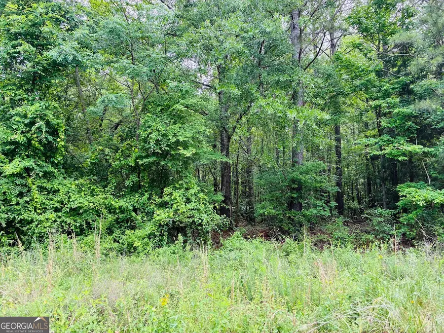0 Lee Lane #LOT 2, Greenville, GA 30222 - #3