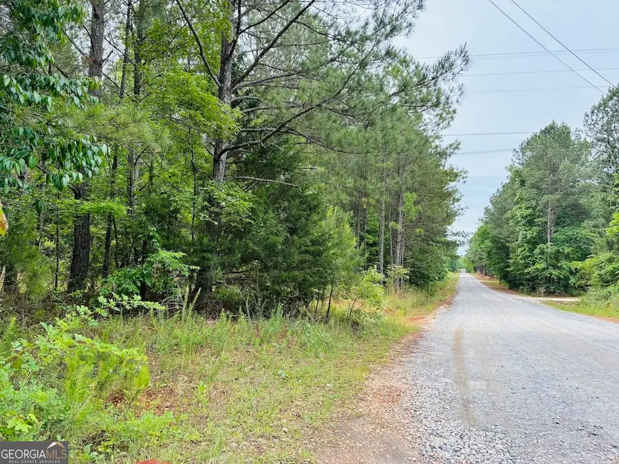 0 Lee Lane, Greenville, GA 30222 - #3
