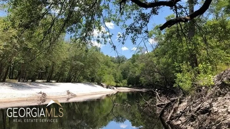 LOT 2 Baker Blvd/cr 4, Saint George, GA 31562 - #2
