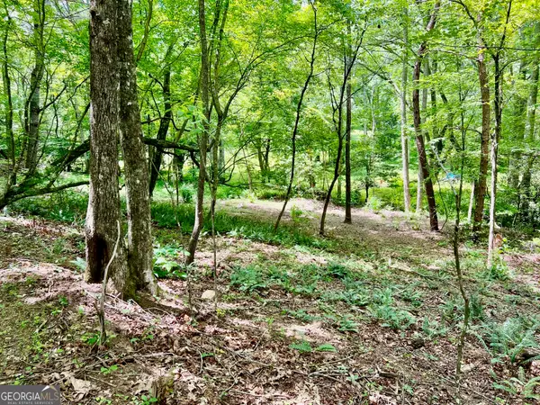 LOT 3 Lower Fox Trail, Blairsville, GA 30512
