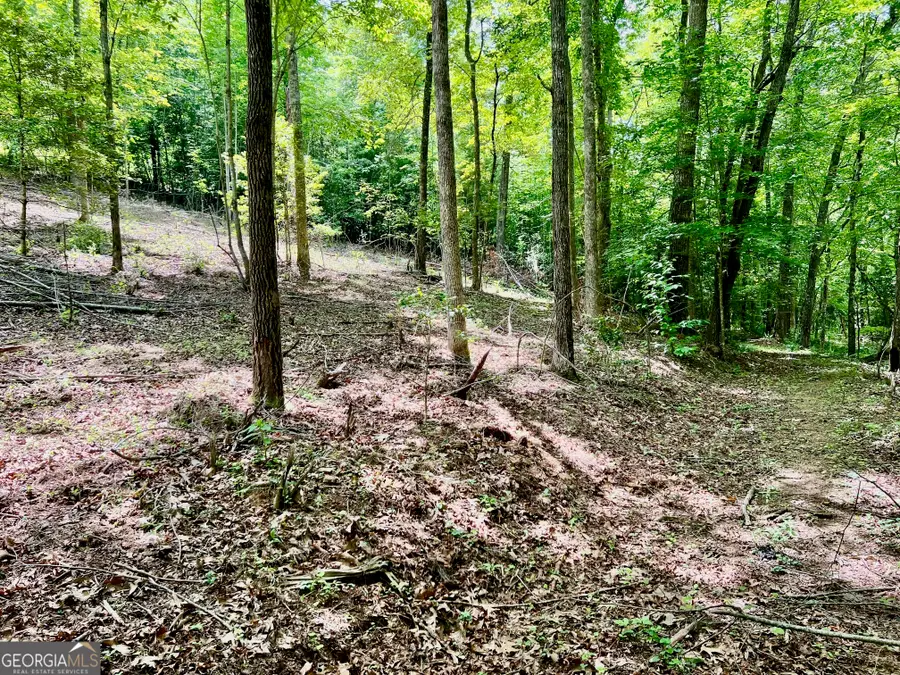 LOT 3 Lower Fox Trail, Blairsville, GA 30512 - #3