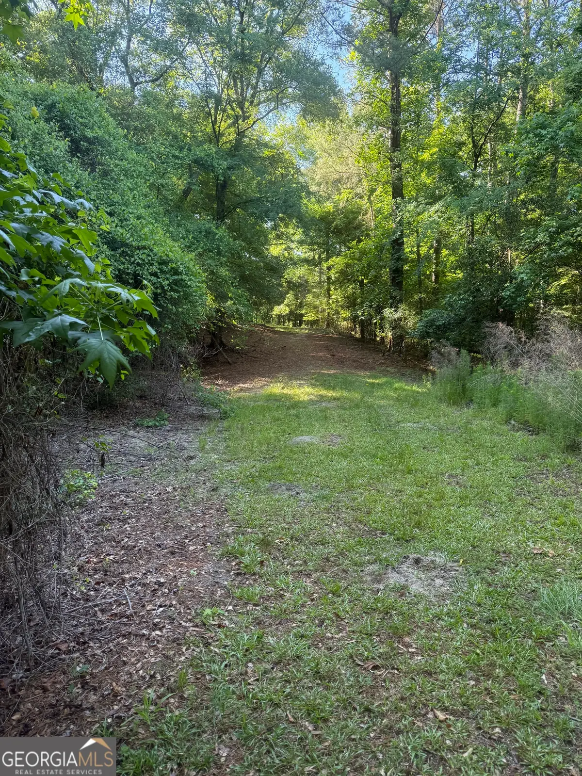 0 Thomas Street, Montezuma, GA 31063 - #1