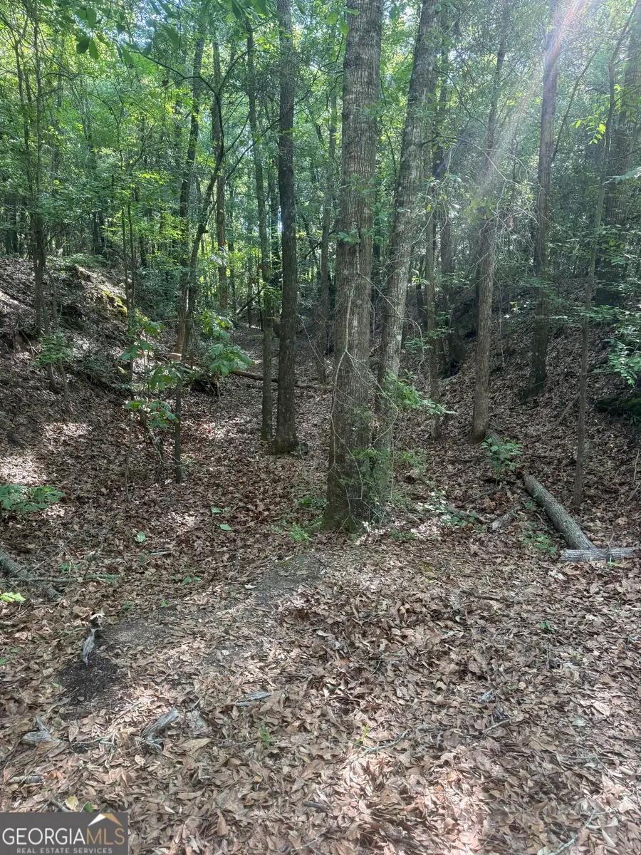 0 Thomas Street, Montezuma, GA 31063 - #2