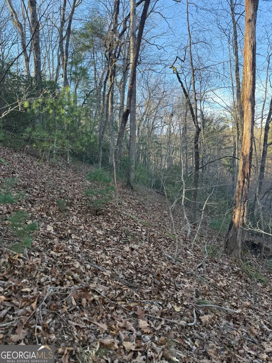 15 Mountain Gate, Cleveland, GA 30528 - #2