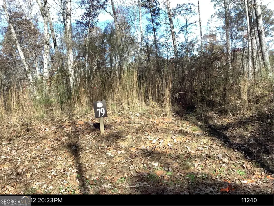 0 Faith Court #LOT 79, Ellijay, GA 30540 - #3