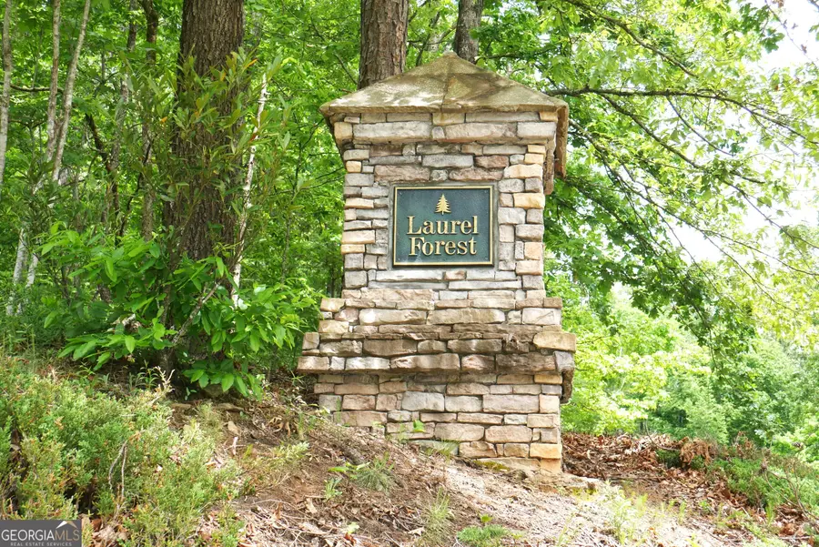 24 Lake Laurel Drive, Dahlonega, GA 30533 - #2
