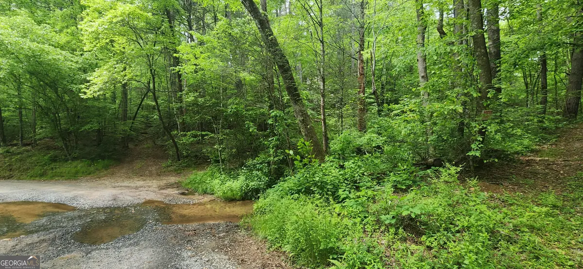 13 AC Goose Island Road, Ellijay, GA 30540 - #1