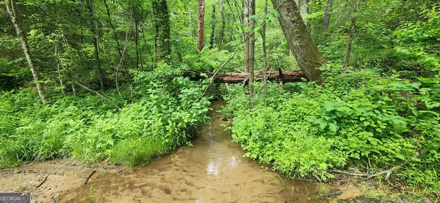 13 AC Goose Island Road, Ellijay, GA 30540 - #2